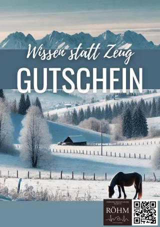 Schneelandschaft 1