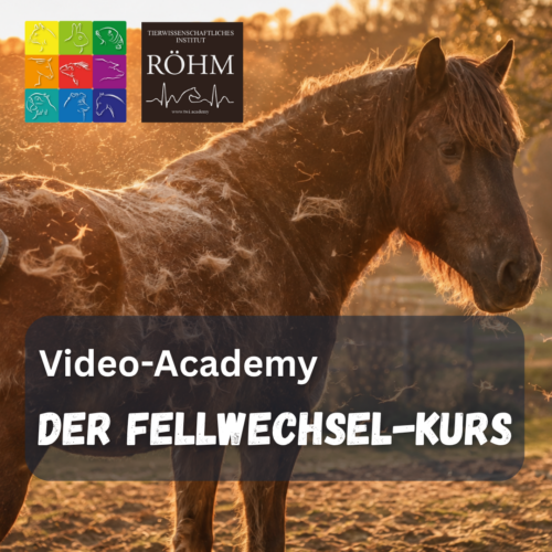 Videokurs "Der Fellwechsel"