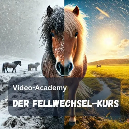 Videokurs "Der Fellwechsel"