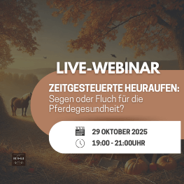 2025-10-29 Heuraufen