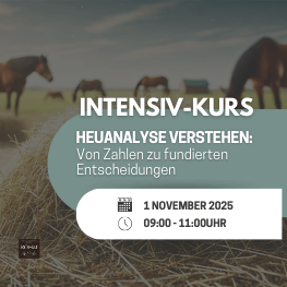 2025-11-01 Heuanalyse-a