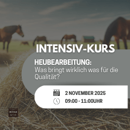 2025-11-02 Heubearbeitung