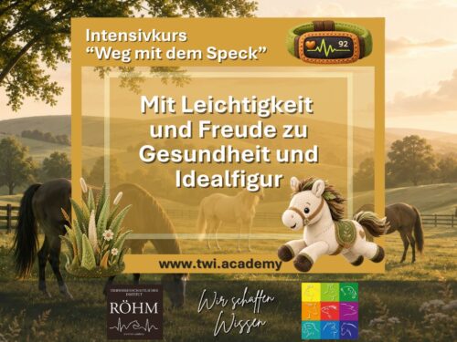 Weg mit dem Speck – Dicke Pferde richtig abspecken